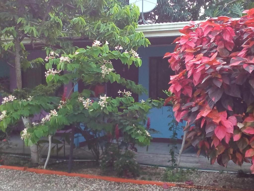 Cabinas Surf Side Cahuita Exterior foto